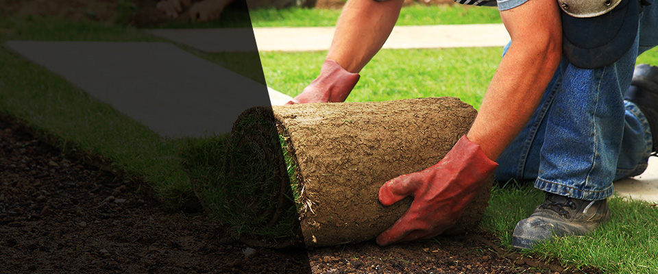 Bucyrus Landscapers